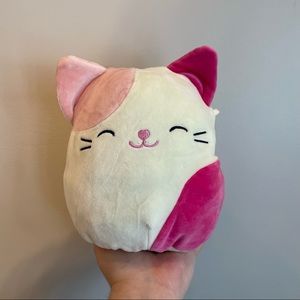 Roxy the cat Squishmallow